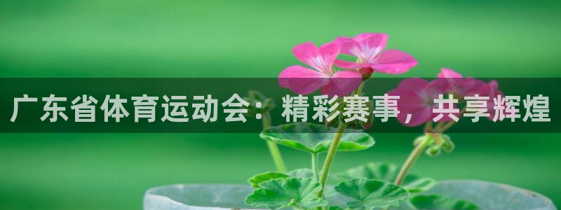 即嗨体育：广东省体育运动会：精彩赛事，共享辉煌