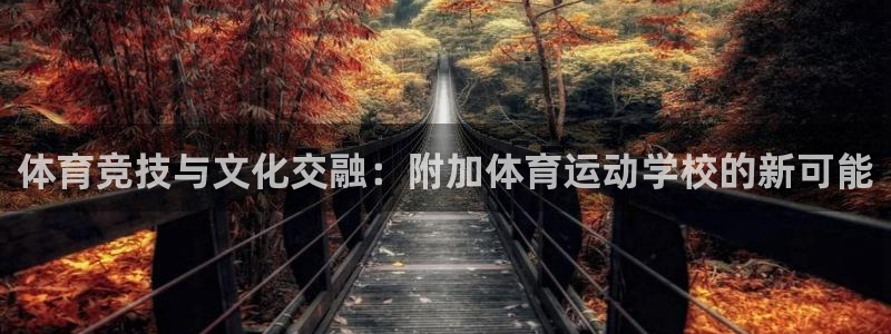 即嗨体育：体育竞技与文化交融：附加体育运动学校的新可能