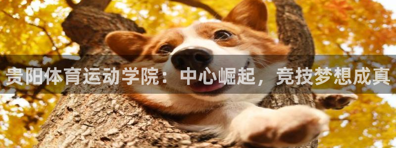 即嗨体育官网：贵阳体育运动学院：中心崛起，竞技梦想成真