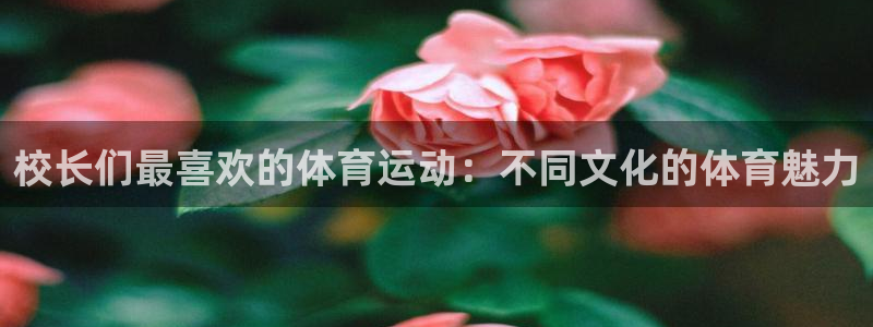 即嗨体育：校长们最喜欢的体育运动：不同文化的体育魅力