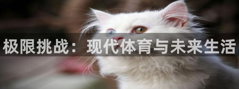 即嗨体育app官网下载：极限挑战：现代体育与未来生活
